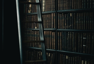 棕色木制书架旁的黑色木梯